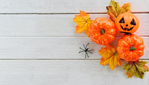 Vue à haut angle des citrouilles orange sur la table