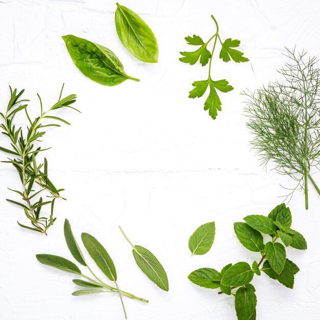 Vue à haut angle de diverses feuilles vertes sur la table