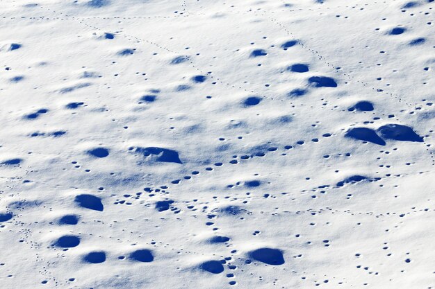 Vue à haut angle du champ de neige