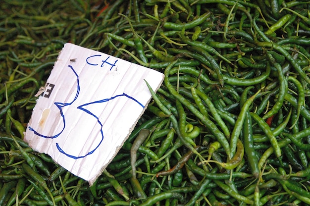 Photo vue à haut angle du papier sur l'herbe