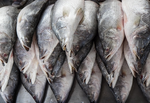 Photo vue en haut angle du poisson à vendre au stand du marché