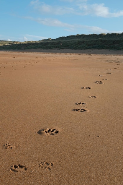 Photo vue en haut angle des empreintes sur le sable de la plage contre le ciel