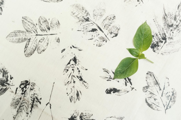 Vue à haut angle des feuilles des plantes en hiver