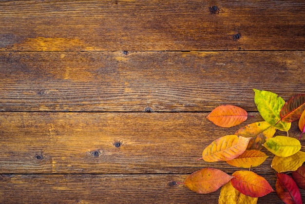 Vue à haut angle des feuilles sur une table en bois en automne