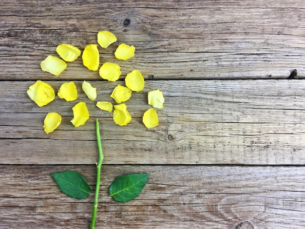 Vue à haut angle de la fleur jaune sur la table