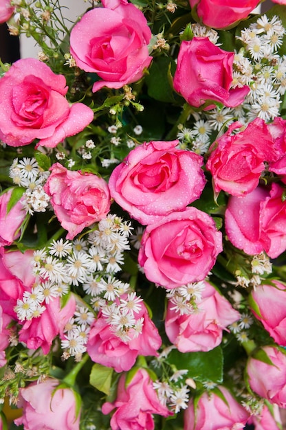 Photo vue à haut angle des fleurs roses