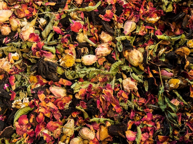 Vue à haut angle des fleurs roses