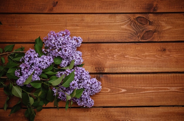 Vue à haut angle des fleurs sur la table