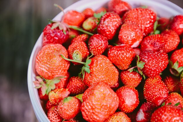 Vue à haut angle des fraises dans le bol