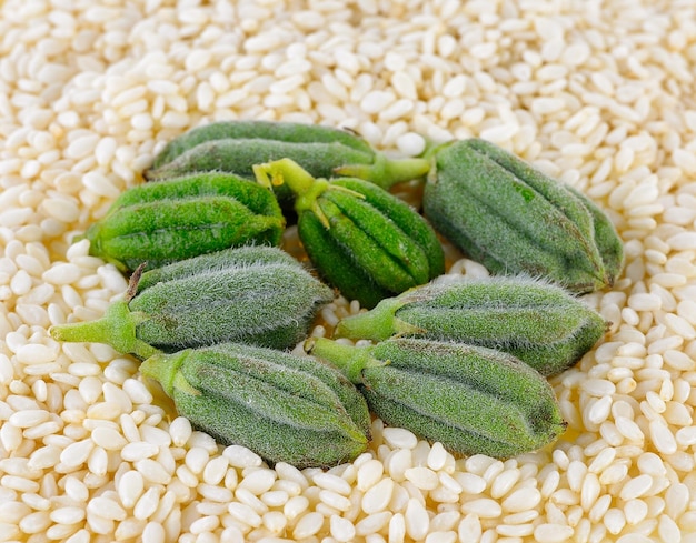 Photo vue à haut angle des légumes