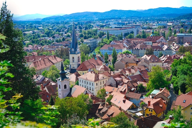 Vue à haut angle des maisons de la ville