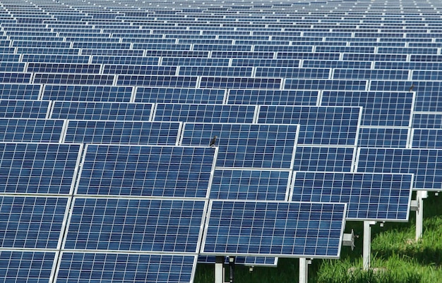Vue à haut angle des panneaux solaires