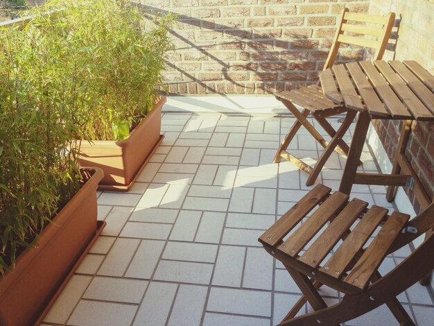 Photo vue à haut angle des plantes en pot sur un sol carrelé