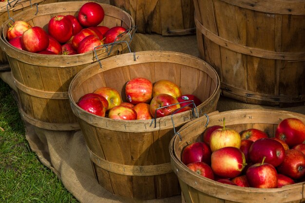 Photo vue à haut angle de pommes fraîches dans des seaux en bois