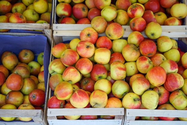 Vue à haut angle des pommes à vendre