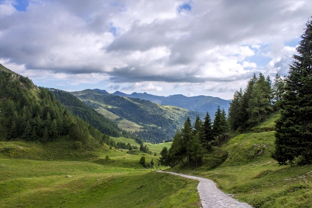 Vue en haut angle d'un sentier étroit le long d'un paysage rural
