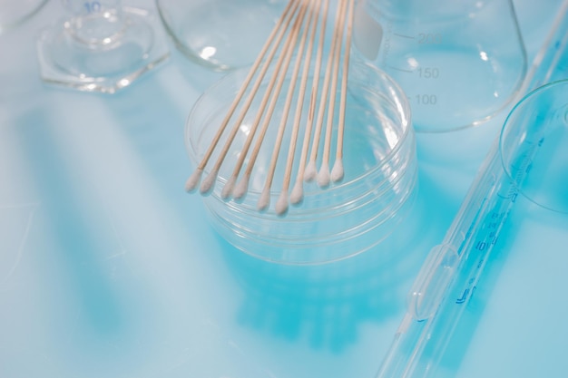 Vue à haut angle des tampons de coton sur des plaques de Pétri en laboratoire