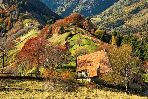 Vue en haut des bâtiments de la ville