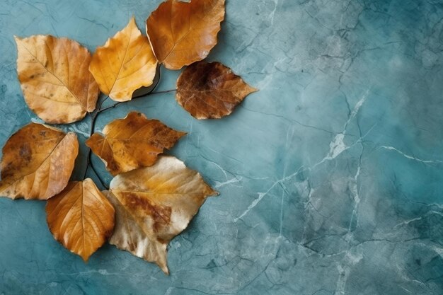 Vue de haut des feuilles d'automne sur un fond bleu