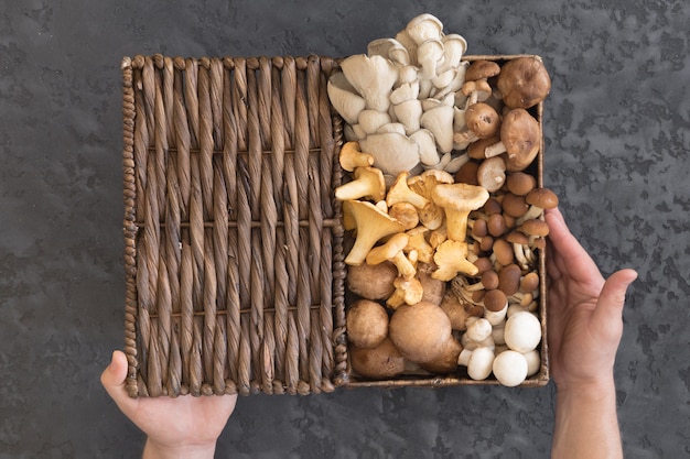 Vue d'en haut de panier en osier avec de la forêt rare délicieux champignons comestibles