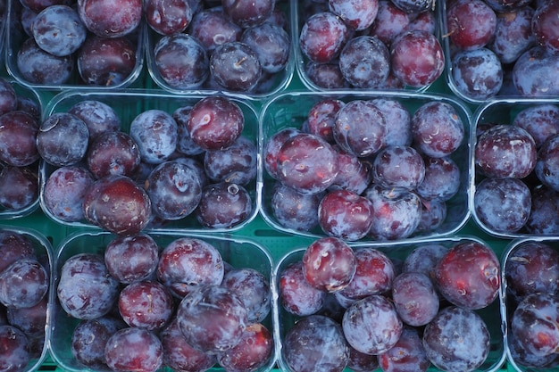 Vue de haut des prunes fraîches dans un paquet en plastique