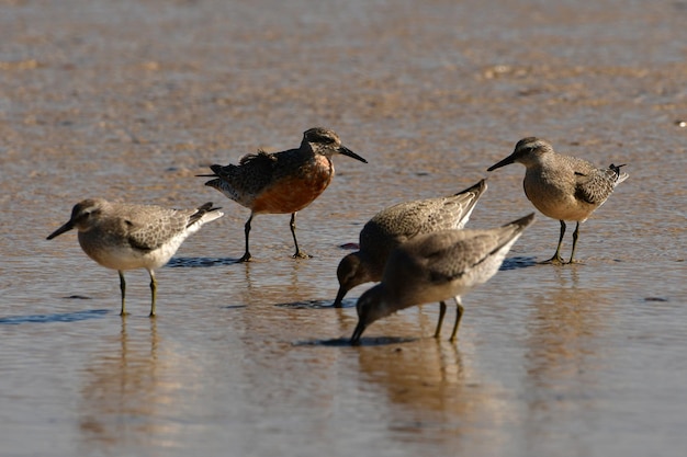 Vue haute angle des gens sur la plage