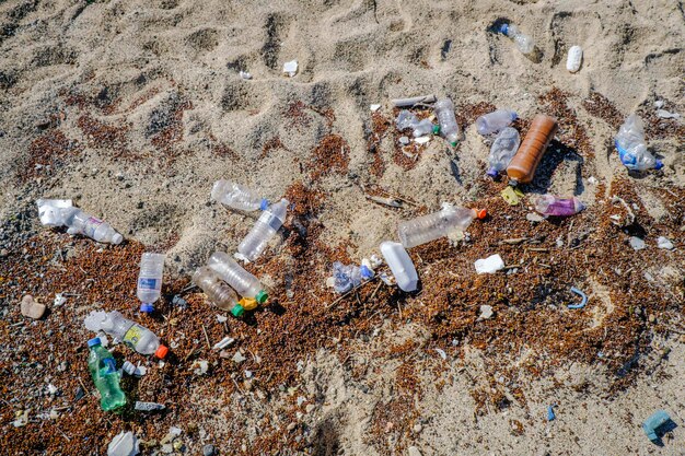 Vue haute angle des gens sur la plage