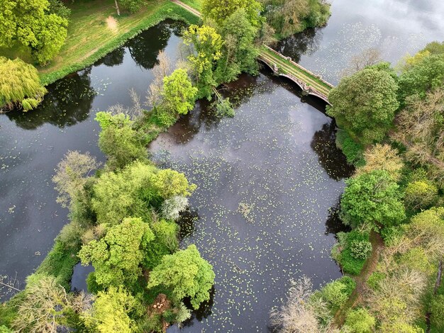 Photo vue haute angle des plantes par le lac