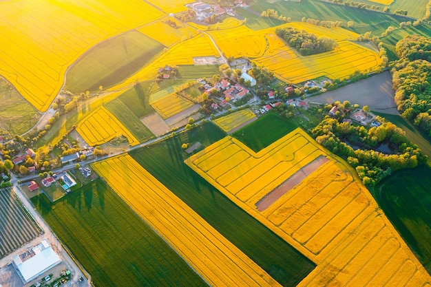 Vue d'une hauteur de champs verts et d'arbres nature d'été