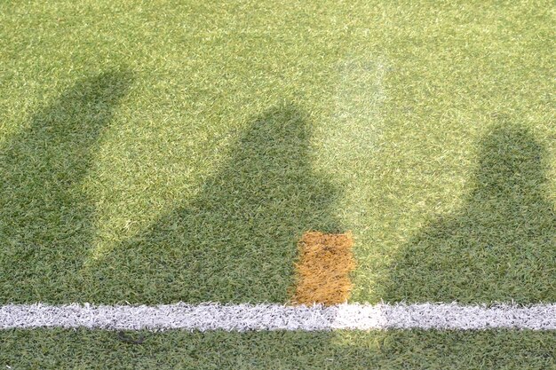 Photo vue de l'herbe sous un angle élevé