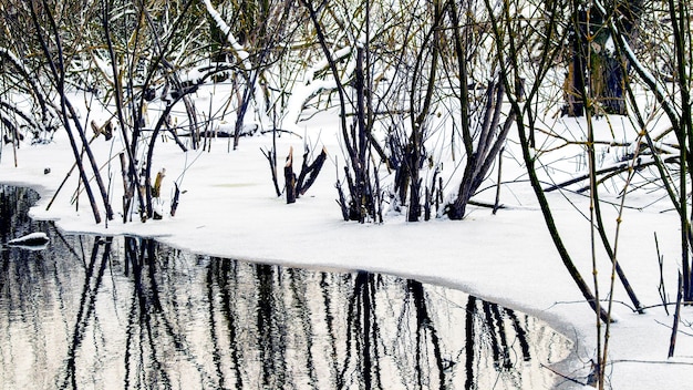 Vue D'hiver Avec Arbres Et Arbustes Reflétés Dans L'eau De La Rivière. Rivière En Hiver