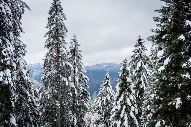 Photo vue hivernale précoce de wallberg à tegernseer tal, dans la vallée, c'est encore l'automne