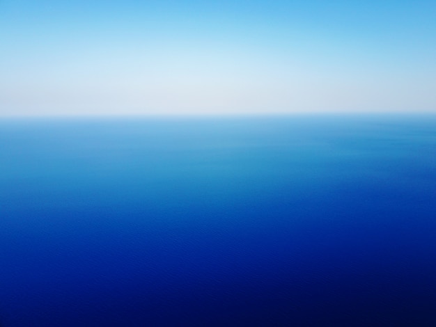 Vue horizontale des yeux d'oiseau de la mer exotique avec une ligne de séparation.