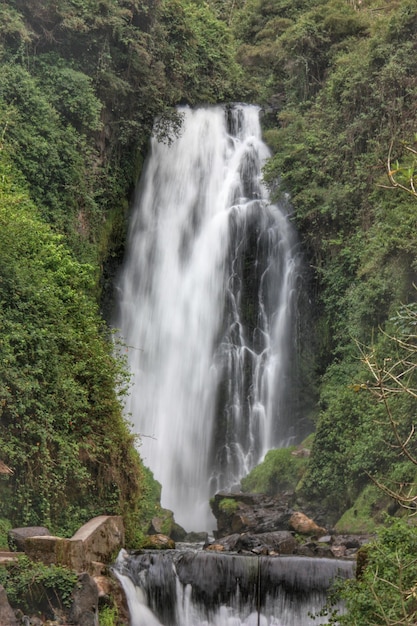 Vue idyllique d'une cascade dans la forêt