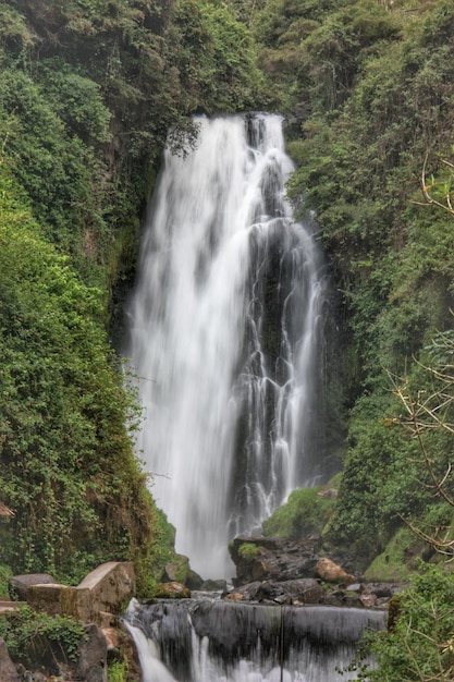 Photo vue idyllique d'une cascade dans la forêt