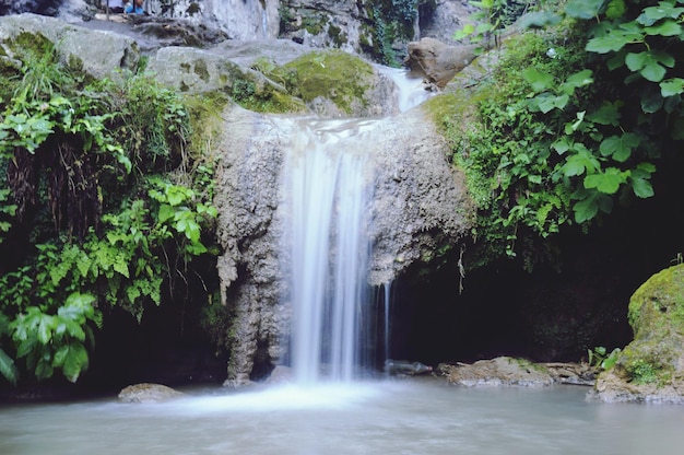 Vue idyllique de la cascade dans la forêt