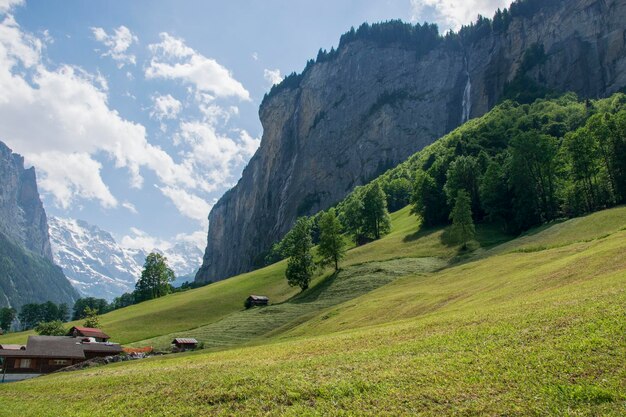 Vue idyllique sur une colline avec forêt et cascade à Lauterbrunnen