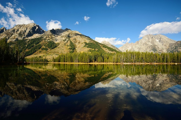 Vue idyllique du lac calme
