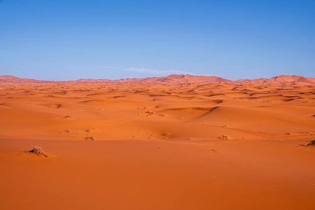 Vue imprenable sur les dunes de sable avec motif de vagues dans le désert contre le ciel bleu