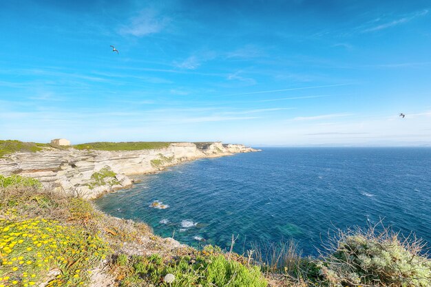 Vue imprenable sur les falaises à proximité de la vieille ville de Bonifacio