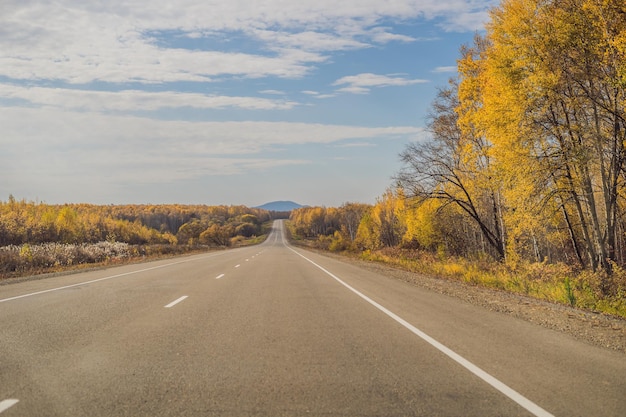 Vue imprenable avec forêt d'automne colorée avec route de montagne asphaltée Beau paysage avec des arbres de route vides et la lumière du soleil en automne Fond de voyage Nature