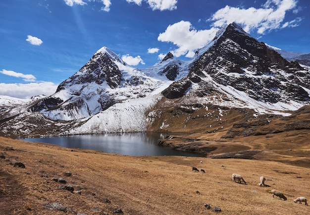 Vue imprenable sur la magnifique montagne Ausangate enneigée au Pérou