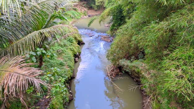 vue imprenable sur la rivière en Indonésie