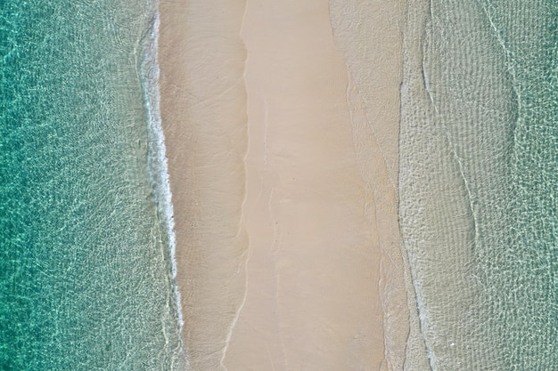 Vue imprenable sur les yeux des oiseaux dans le paysage marin de Zanzibar