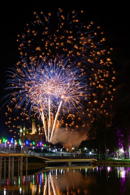 Vue d'incroyables feux d'artifice qui brillent dans le ciel nocturne