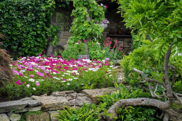 Photo vue sur le jardin du château de hever