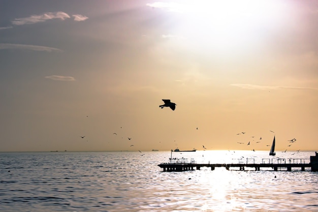 Vue sur la jetée avec des oiseaux et des gens