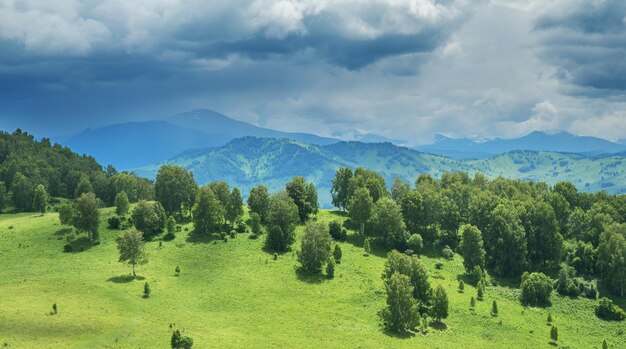 Vue d'une journée d'été dans les montagnes, des prairies vertes, des pentes et des collines.