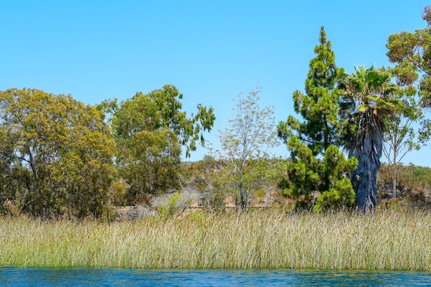 Une vue sur le lac depuis l'eau.