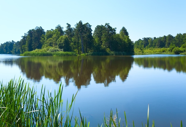 Vue sur le lac en été avec petit bosquet sur la rive opposée